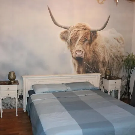B&B Acquagrossa-2